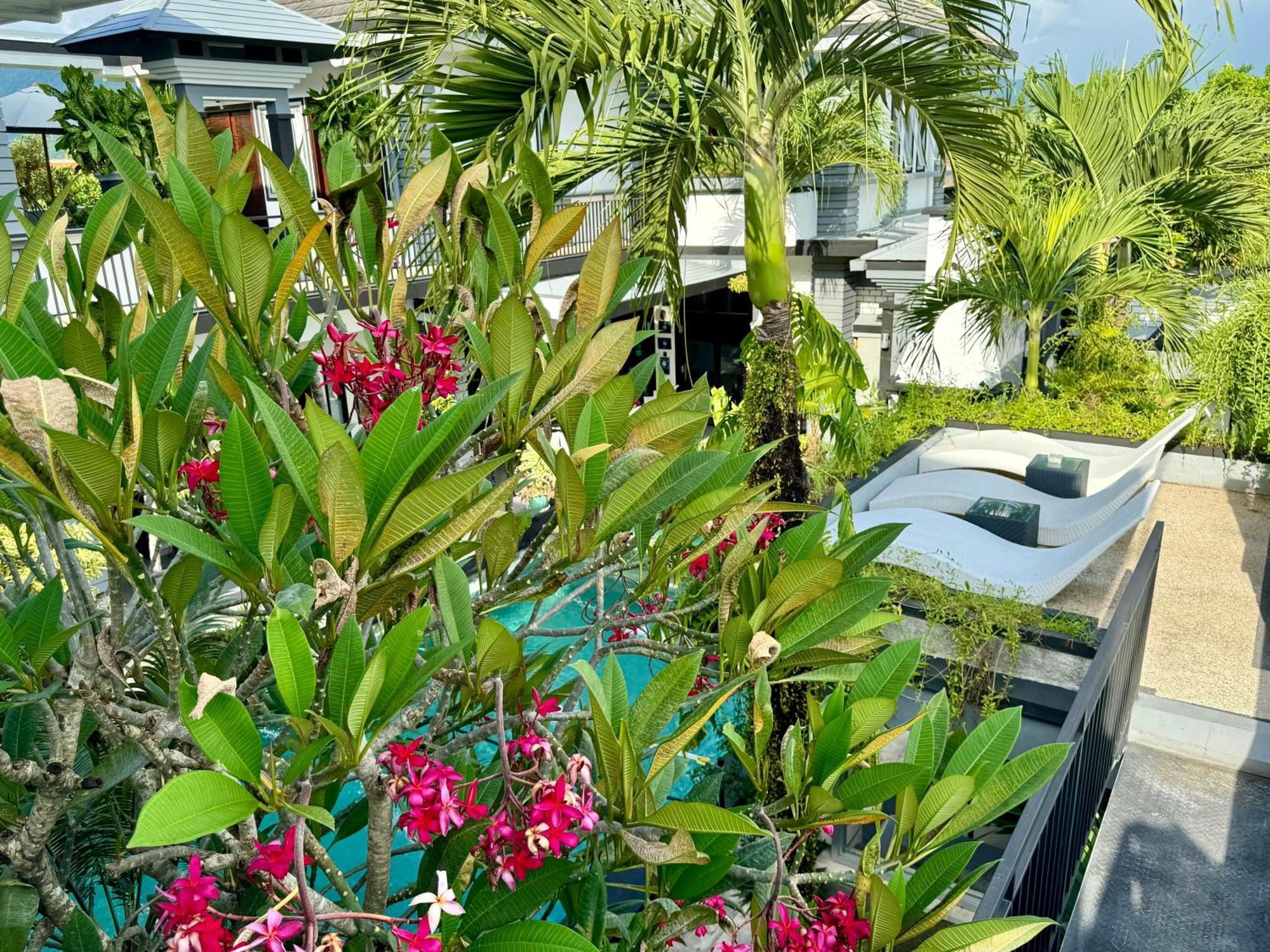 סנגיגי Villa Rumah Putih Abu Abu מראה חיצוני תמונה